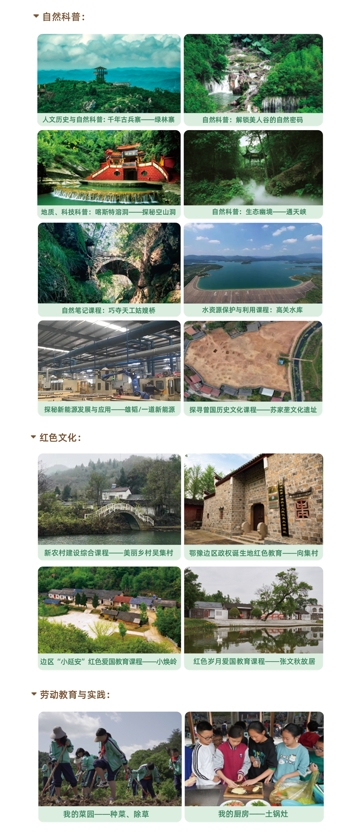 (图2)
